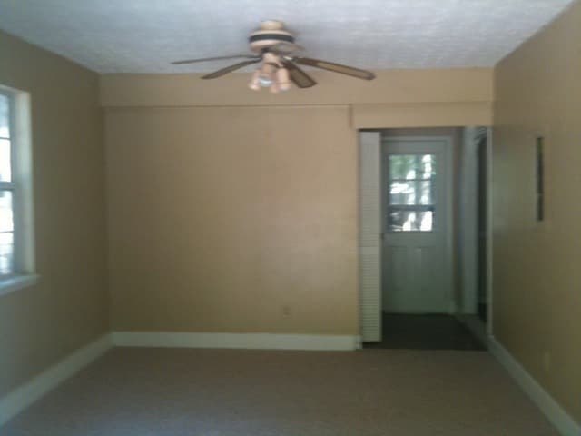 Photo - 101 Autumn Leaf