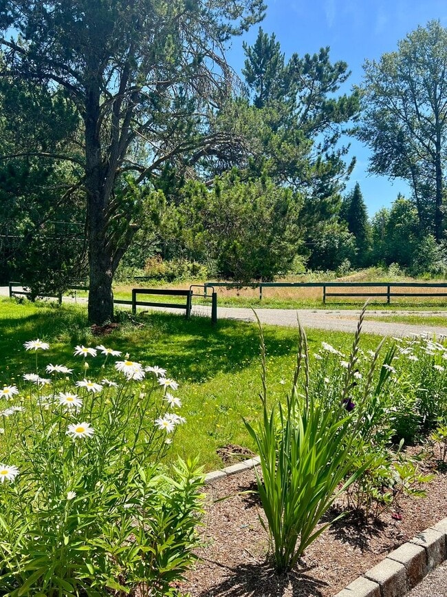 Photo - 3+ BD on 2 Acres - Barn Included