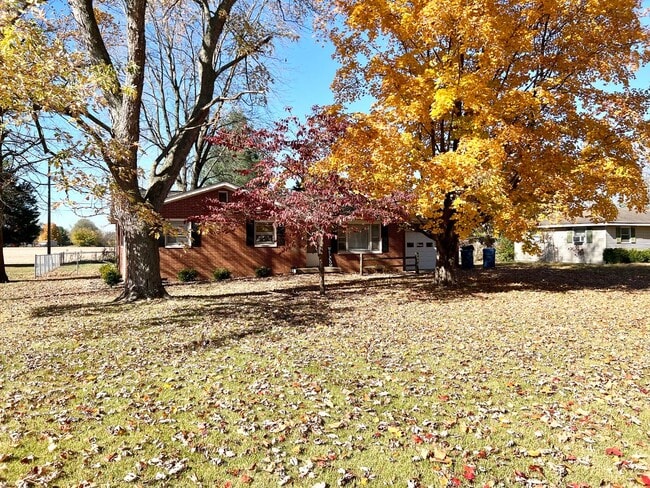 Photo - Updated 3 Bedroom, 1.5 Bath Home with Fenced Yard & Attached Garage!