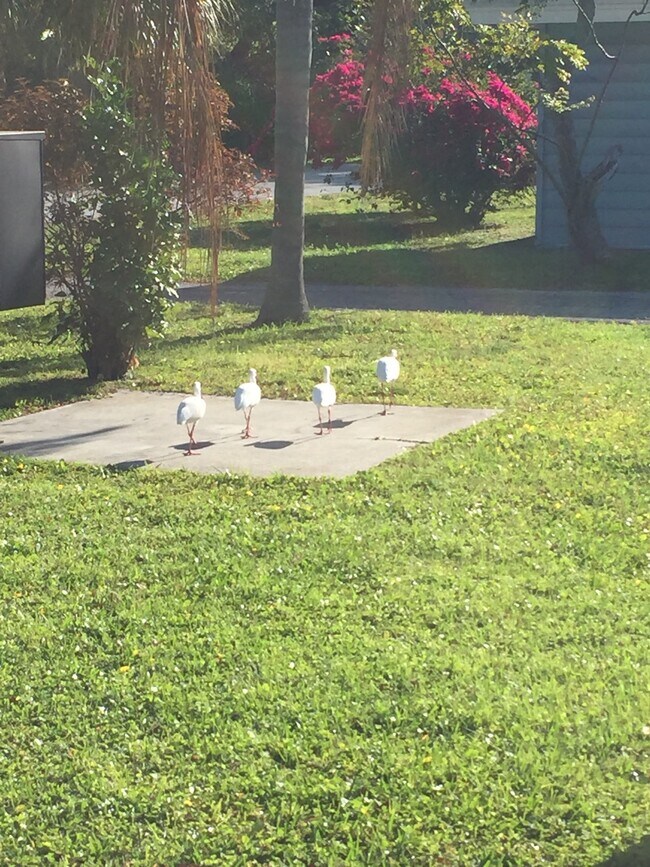 Photo - 10464 106th Ave N Unidad 8