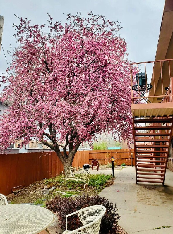 Photo - 3300 S Clarkson St Unit 102