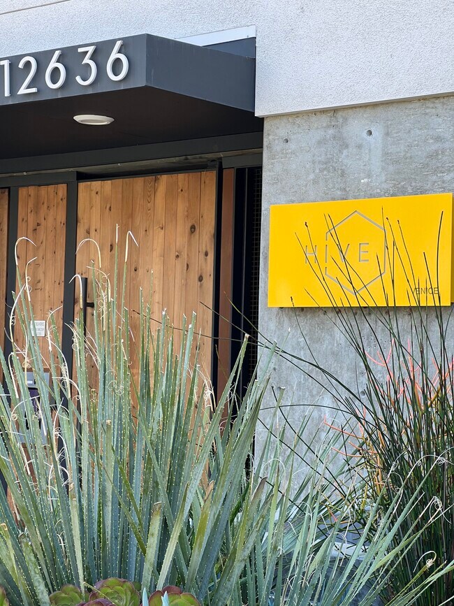 Hive Venice