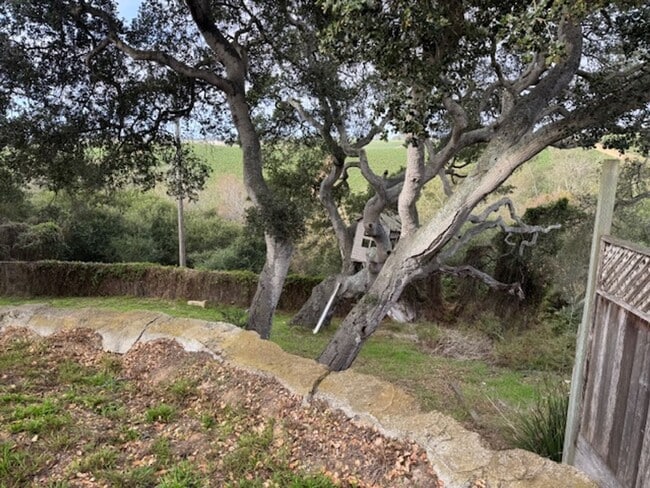 Photo - Oak Hills (15425) Unit Studio