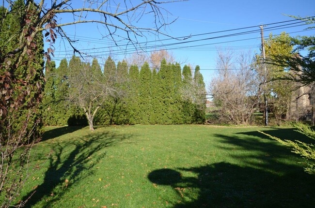 Back yard - 5445 Chicago Rd