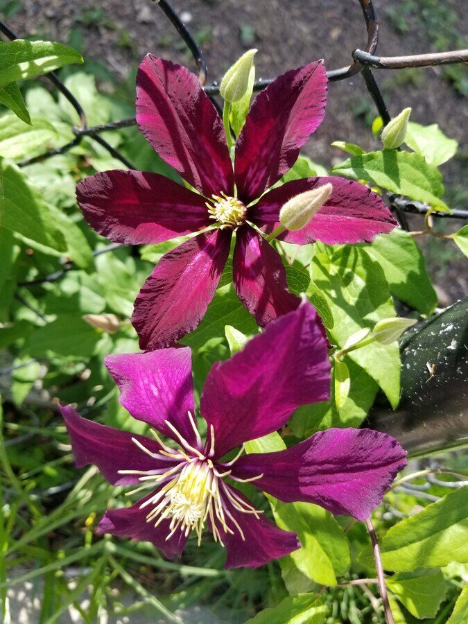 Photo - 1248 16th St NE