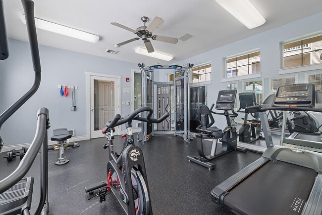 Photo - Salmon Run at Perry Creek