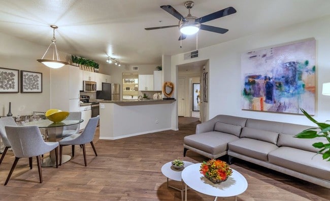 Photo - Reflections at Gila Springs