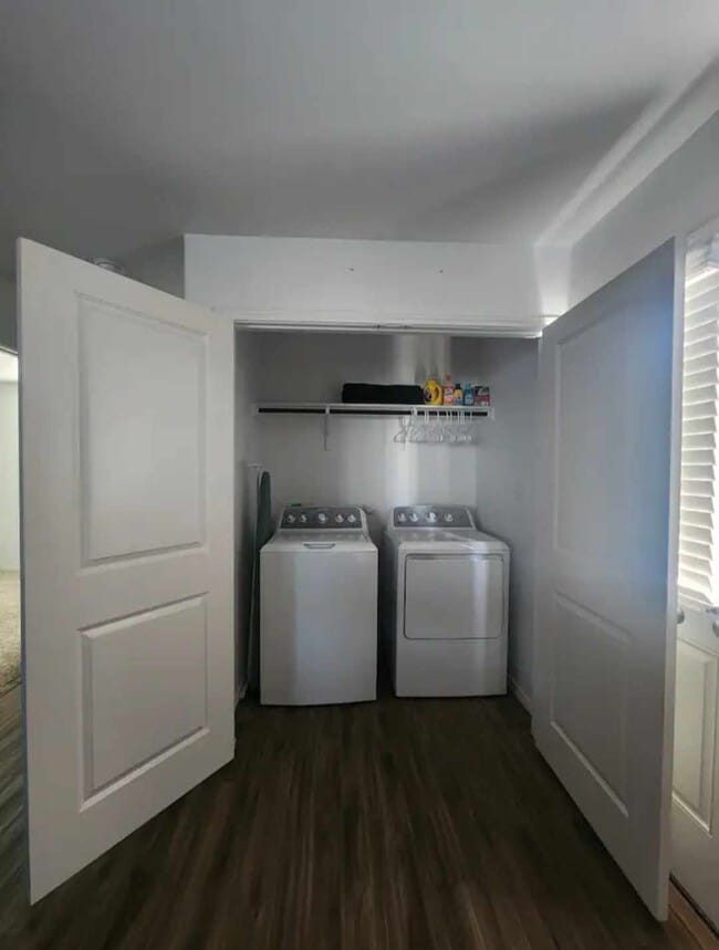 Photo - Elgin Mussel Run