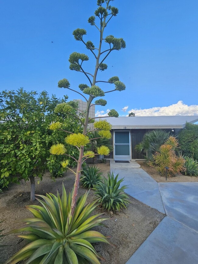 37800 Da Vall Dr Unit 12