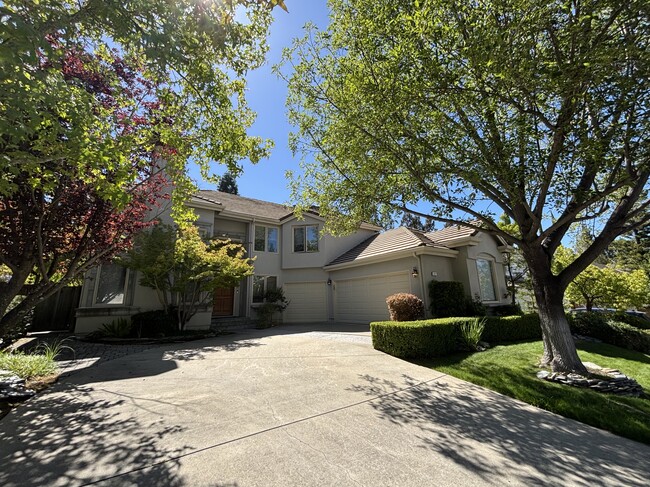 Photo - 127 Rassani Dr