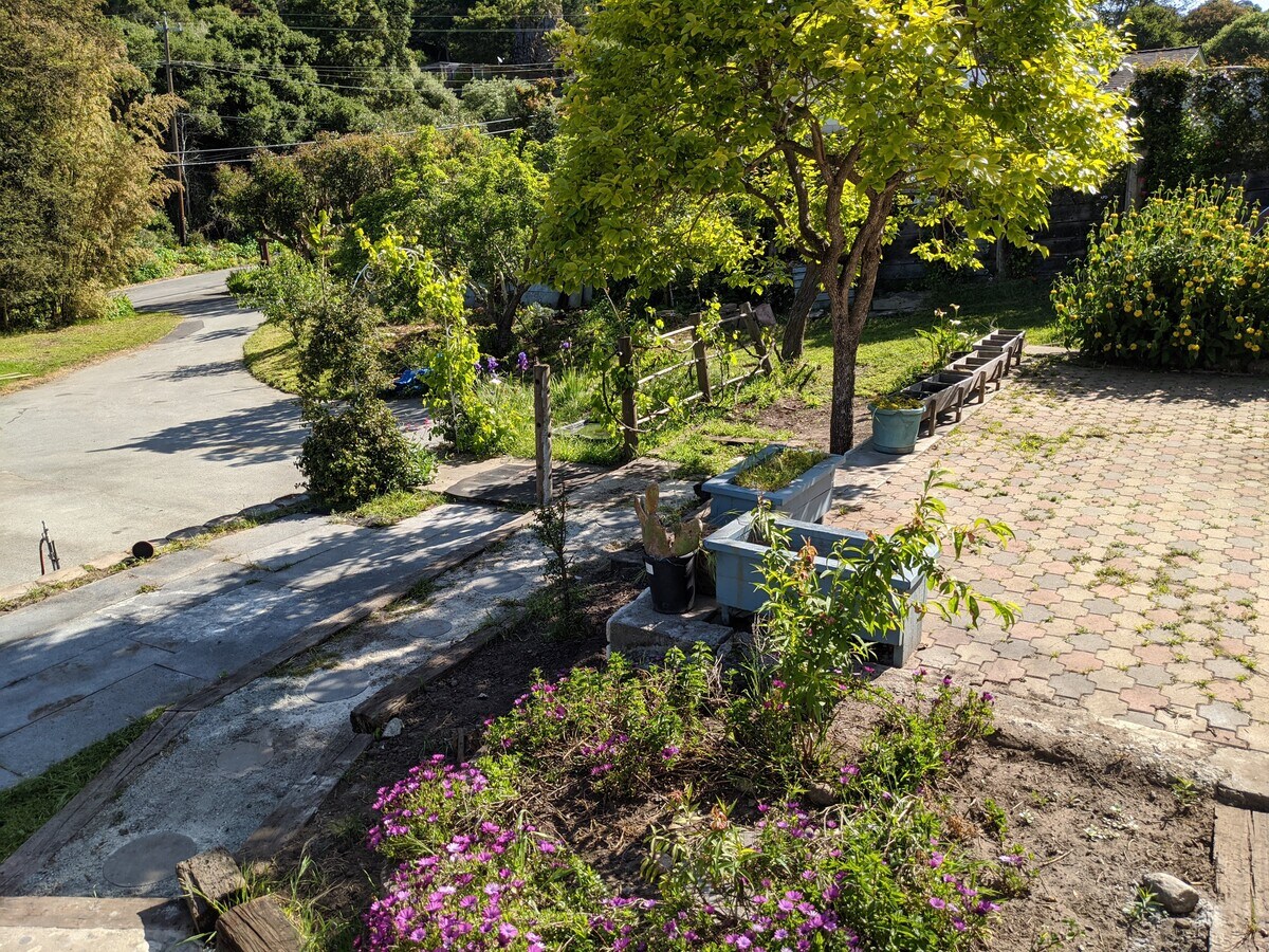 Photo - 651 Carr Ave