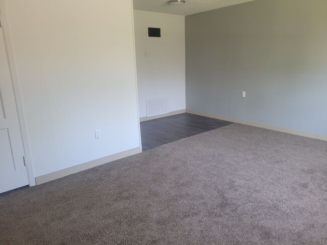 Photo - 2 Bedroom House Backyard!
