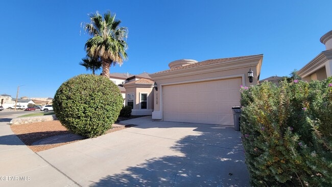 Photo - 11512 Porfirio Payan Dr