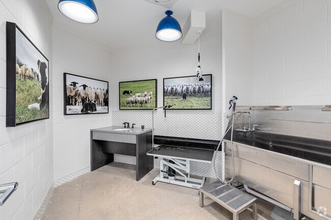 Groom Room