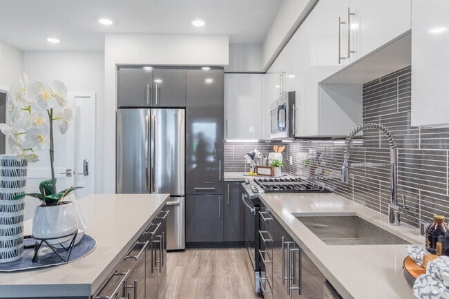 1BR, 1BA - 736 SF