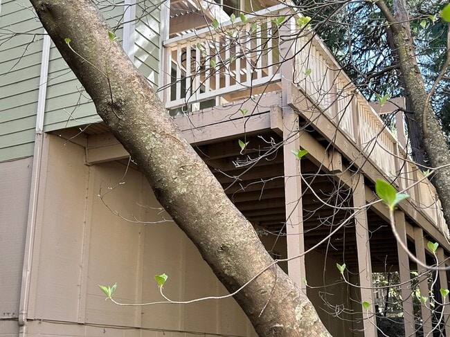 Photo - 209 Cool Creek Ln Unit 10