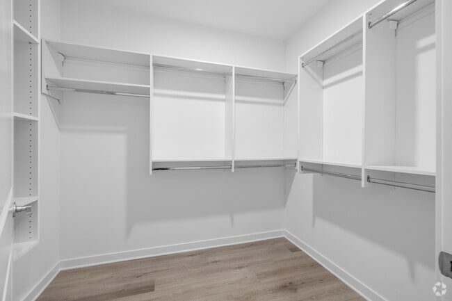1BR, 1BA - 710SF - Walk-in Closet