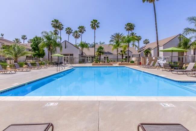 Photo - Palm Court Apartment Homes