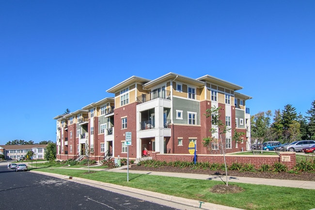 Photo - Hercules Trail