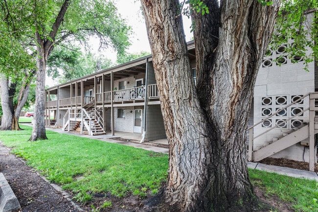 Building Photo - 701 Parker St Unit 7