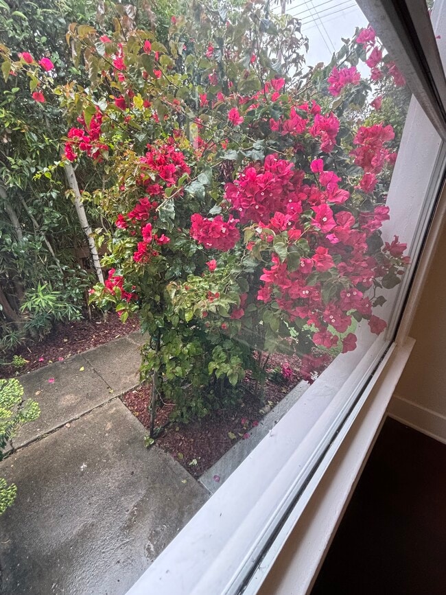 Living Room Front Garden view - 912 1/2 California Ave