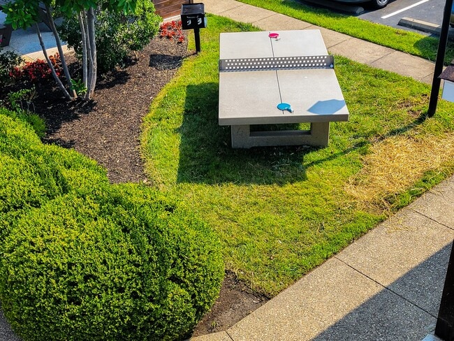 Outdoor Ping Pong