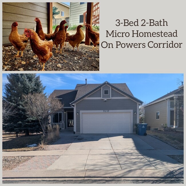 Building Photo - 7137 Arrowroot Ave