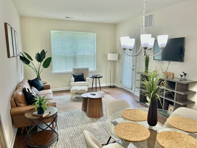 Photo - Morgan's Bluff