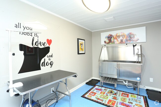 Dog Spa