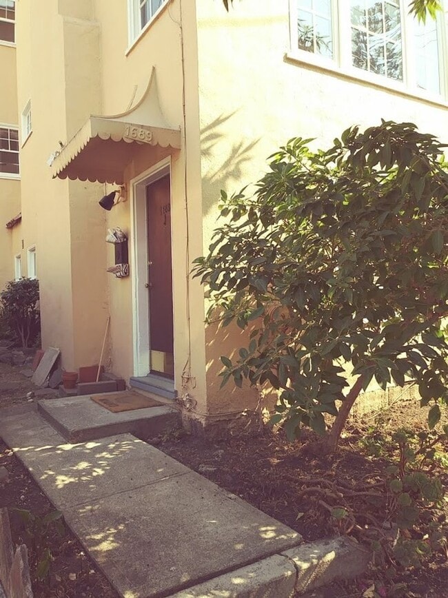 Photo - North side, quiet and spacious one bedroom is walking distance to the north side of the UC Berkel... Unit Apt 1689