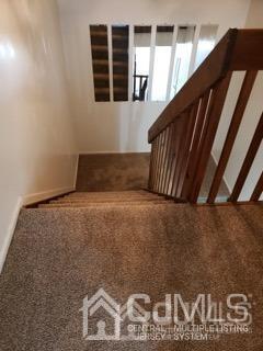 Photo - 10 Nicholas Ct