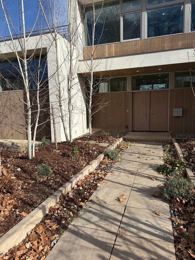 Photo - Silver Maple Stunning