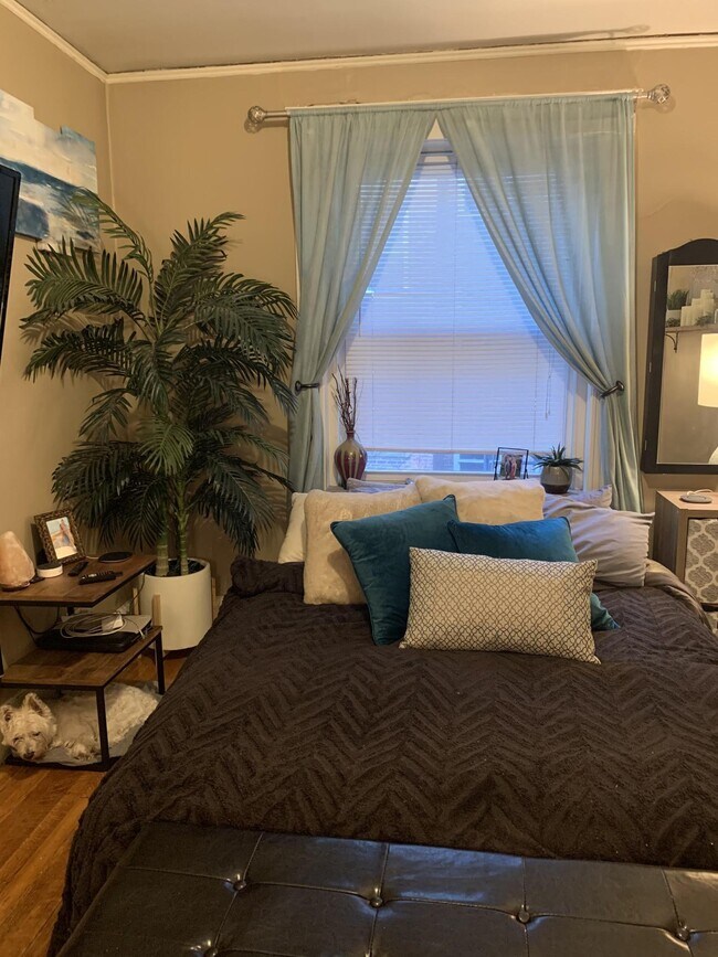 Photo - 1615 Commonwealth Ave