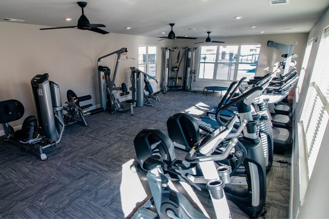 Photo - Lakeside Gardens