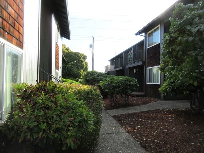 Photo - Two Bedroom Apartment w/ Washer and Dryer Unit 1559