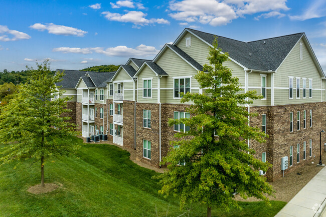 Building Photo - Palisades of Asheville Rental