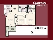 Cypress