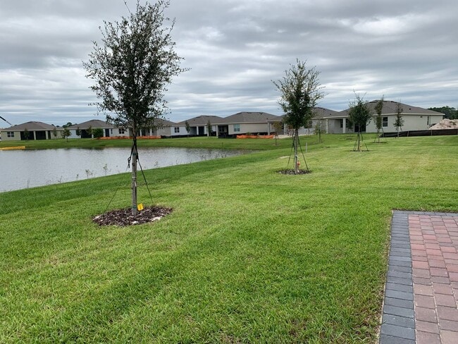 Photo - 17841 Blazing Star Cir