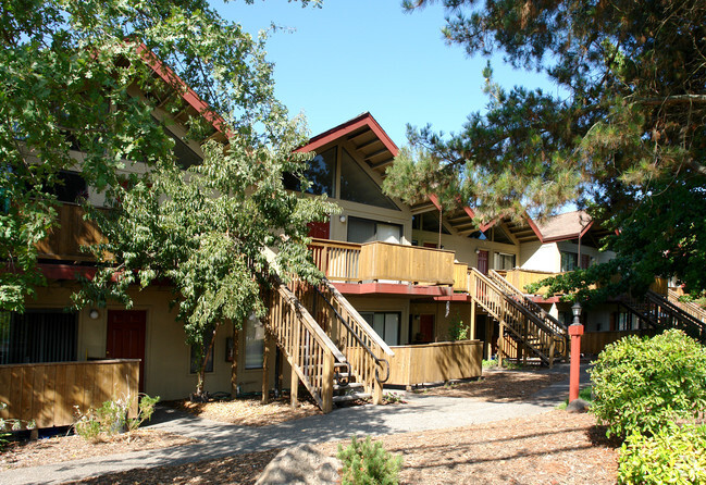 Pine Wild Apartments - Pine Wild Apartments