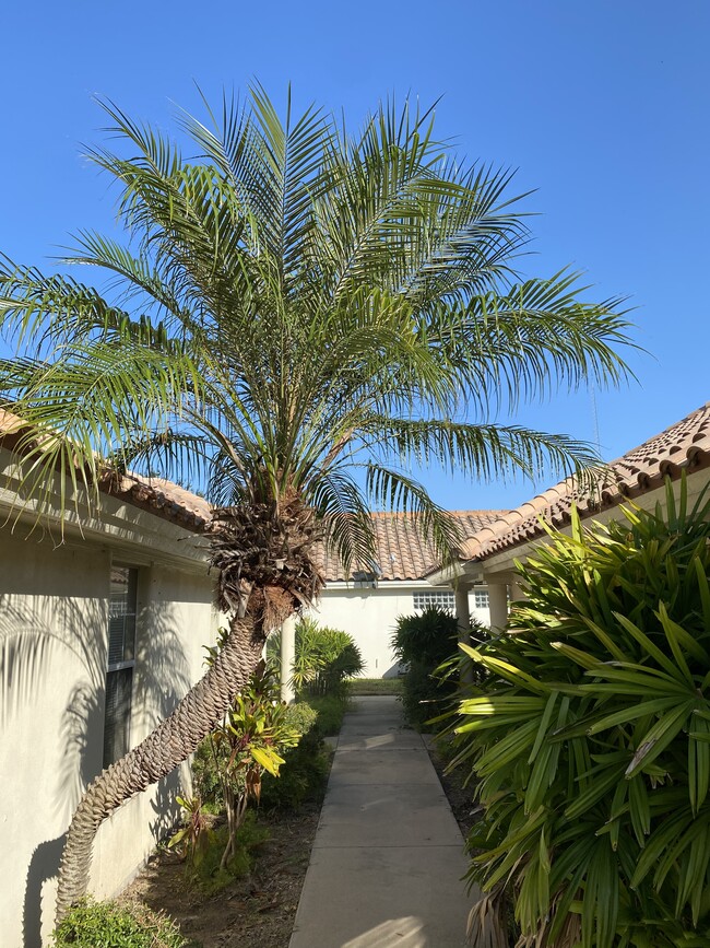 Photo - 1209 Swallow Ave Unit #3