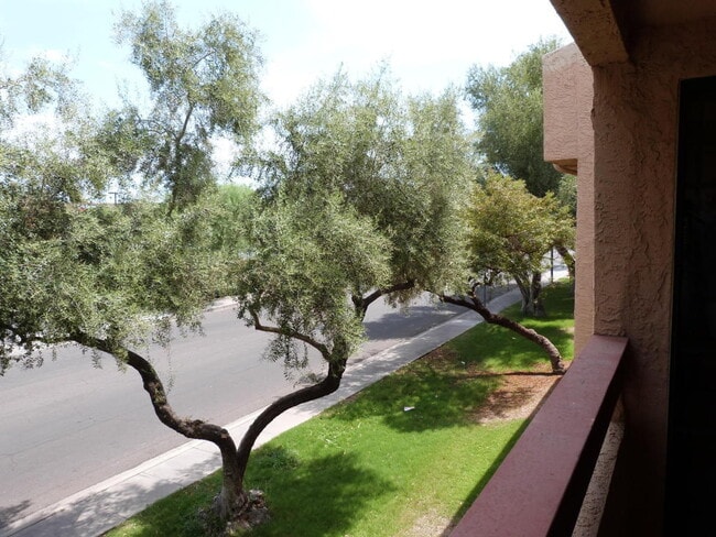 Photo - Upgraded One Bedroom- Will go FAST!  2nd floor unit with Washer and Dryer!!!  No neighbors direct...