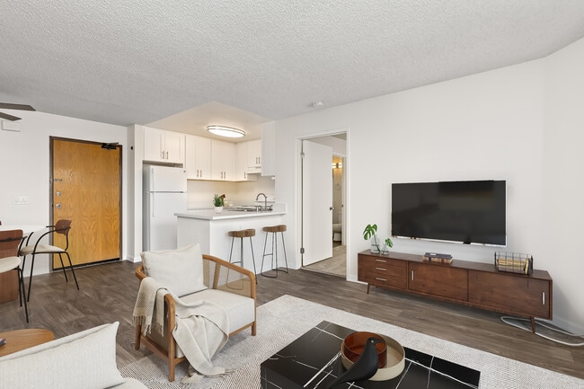 Remodel Apartment