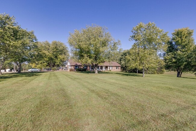 Photo - Stunner in North Columbia