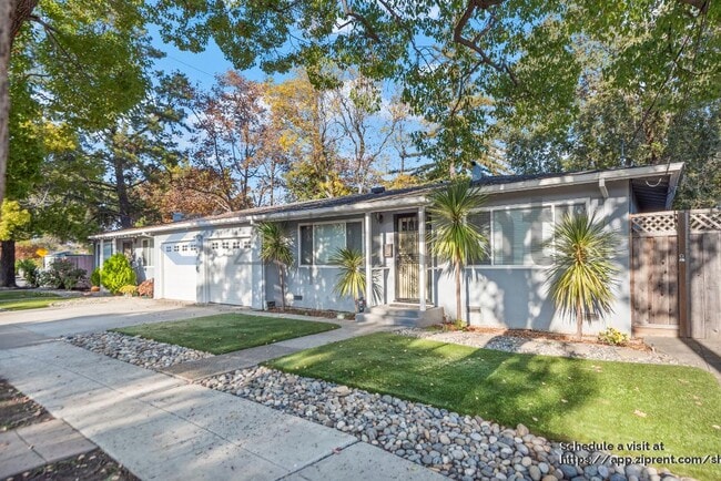 Building Photo - 1109 Junipero Ave