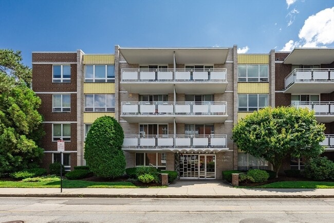 Building Photo - 41 Park St Unit 303 Rental