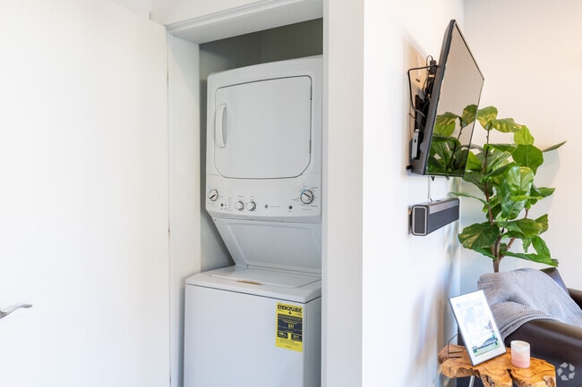 Lavandería - Live on Hillsborough