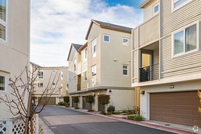 Meadow Walk - Meadow Walk