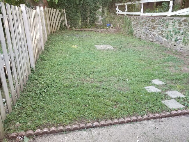 Patio interior - 4541 Manayunk Ave