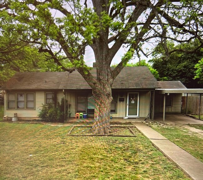 Building Photo - 318 Moore St