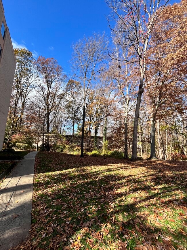 Photo - 4360 Ivymount Ct Unit #58
